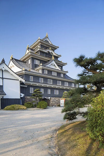 Okayama Castle, Okayama, Okayama Prefecture, Japan