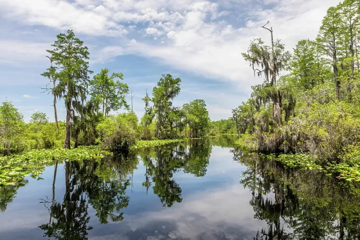 Framed Print : Okefenokee National Wildlife Refuge, Georgia, USA Framed Print : Okefenokee National Wildlife Refuge, Georgia, USA