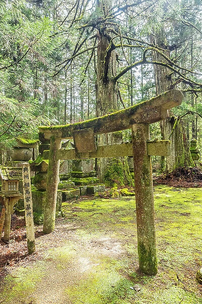 Okunoin Cemetery in Koya, Mount Koya, Kansai region, Honshu, Japan