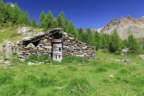 Old alpine hut at Alpe Zana, Valmalenco, Province of Sondrio, Lombardy, Italy, Europe