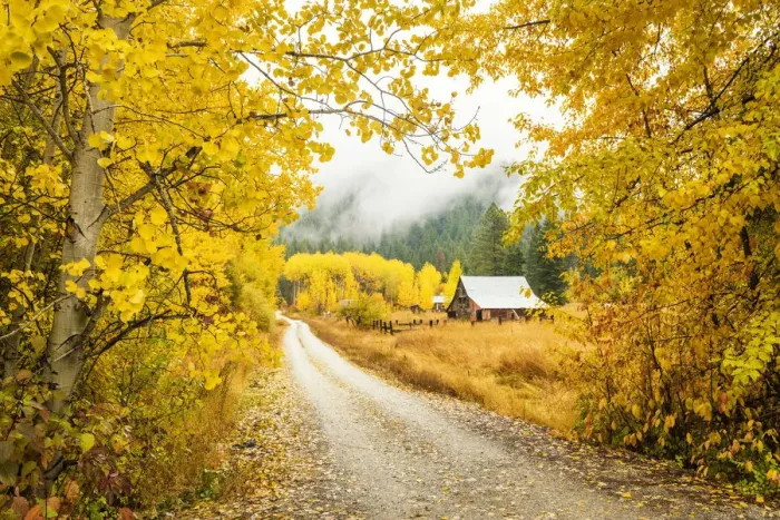 Framed Print : Old Barn in Autumn, Wenatchee National Forest, Washington, USA Framed Print : Old Barn in Autumn, Wenatchee National Forest, Washington, USA