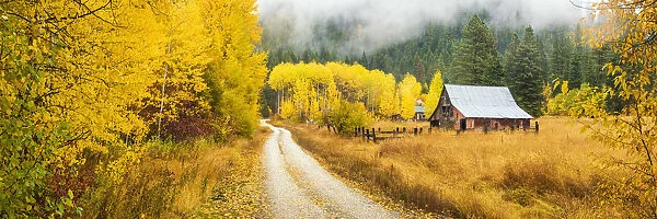 Old Barn in Autumn, Wenatchee National Forest, Washington, USA