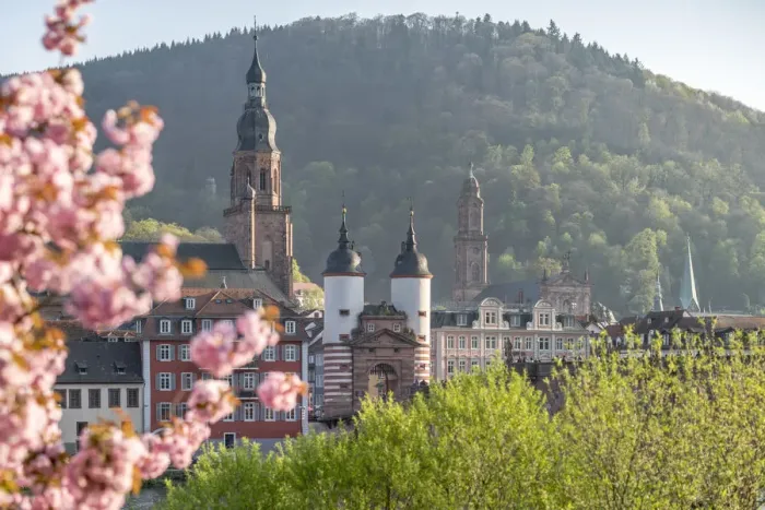 Framed Print : Old Bridge in Heidelberg in spring, Baden-Wurttemberg, Germany