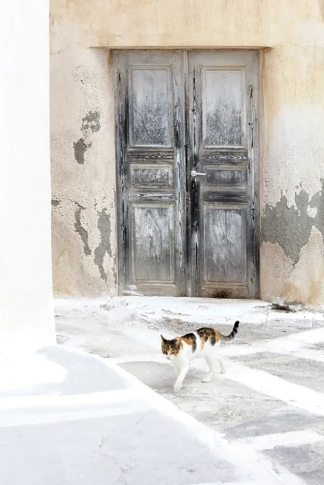 Framed Print : Old door and wall with cat walking across street, Emporio, Santorini, Cyclades Islands, Greece, Europe