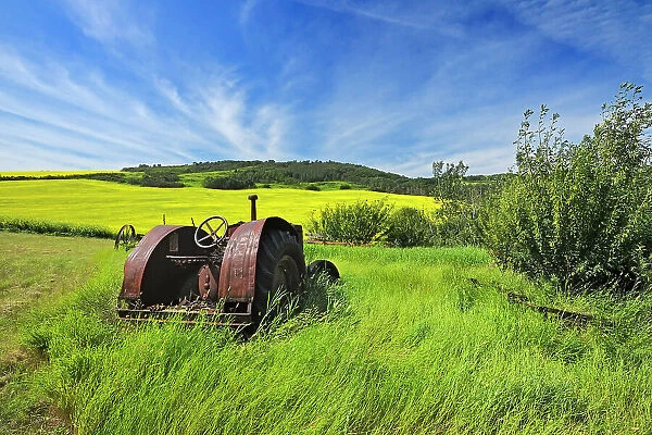 Old farm equipment (tractor) and canola crop on farmland Baljennie Saskatchewan, Canada