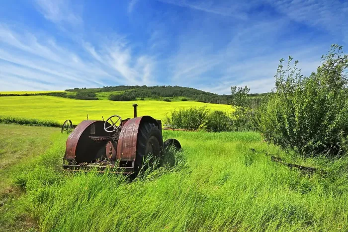 Framed Print : Old farm equipment (tractor) and canola crop on farmland Baljennie Saskatchewan, Canada Framed Print : Old farm equipment (tractor) and canola crop on farmland Baljennie Saskatchewan, Canada