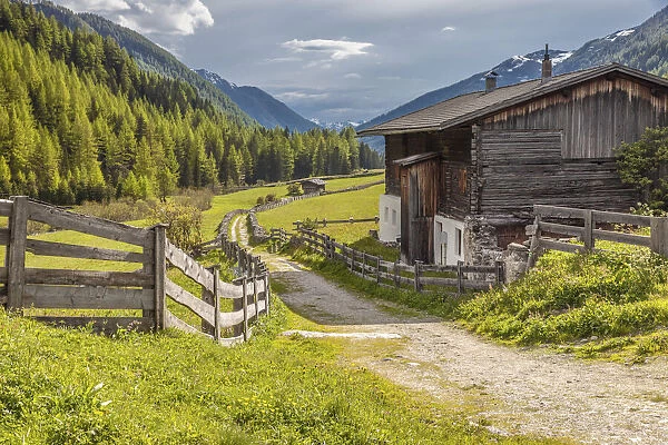 Old farmhouse and summer meadow in Kasern, Valle Aurina, South Tyrol, Italy