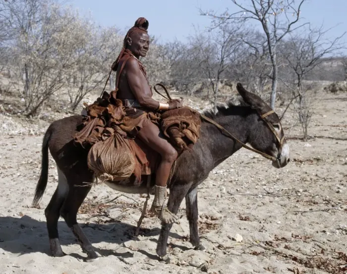 Framed Print : An old Himba woman Framed Print : An old Himba woman