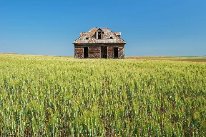 Framed Print : Old homestead and wheat crop, Cononach, Saskatchewan, Canada Framed Print : Old homestead and wheat crop, Cononach, Saskatchewan, Canada