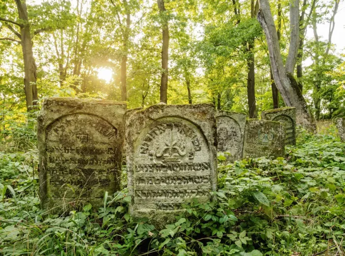 Framed Print : Old Jewish Cemetery in Szczebrzeszyn, Lublin Voivodeship, Poland Framed Print : Old Jewish Cemetery in Szczebrzeszyn, Lublin Voivodeship, Poland