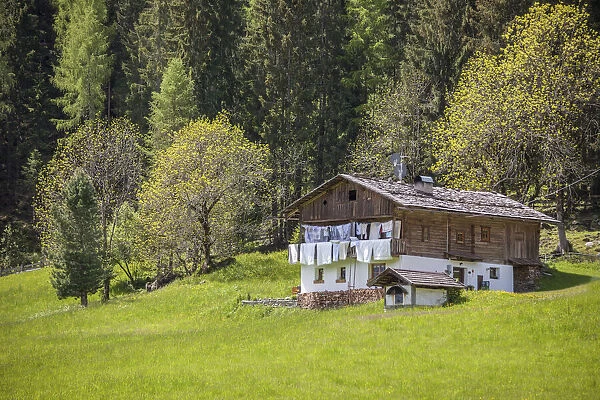 Old mountain farm in Lappach, Tauferer Ahrntal, South Tyrol, Italy