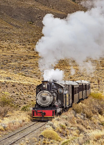 Old Patagonian Express La Trochita, steam train, Chubut Province, Patagonia, Argentina