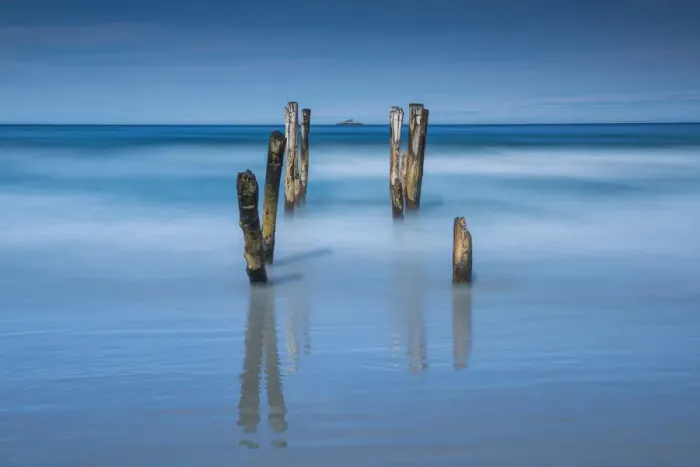 Framed Print : Old Pier Posts, Dunedin, New Zealand Framed Print : Old Pier Posts, Dunedin, New Zealand