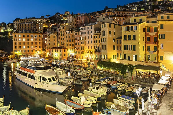 The old port, Camogli, Rivera di Levante, Genova District, Liguria, Italy