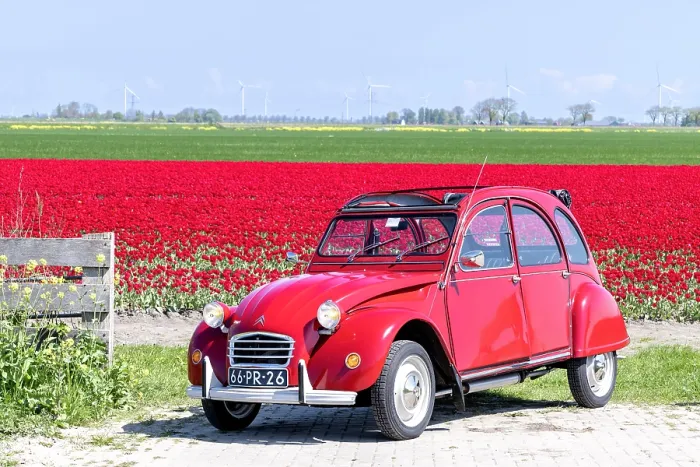 Framed Print : An old red citroen 2cv by a tulip field, North Holland, Netherlands Framed Print : An old red citroen 2cv by a tulip field, North Holland, Netherlands