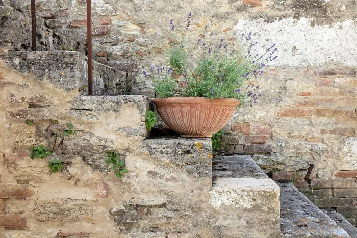 Framed Print : Old stone steps with lavendar plant in terracotta bowl, Lucignano d'Asso, Province of Siena, Tuscany, Italy Framed Print : Old stone steps with lavendar plant in terracotta bowl, Lucignano d'Asso, Province of Siena, Tuscany, Italy