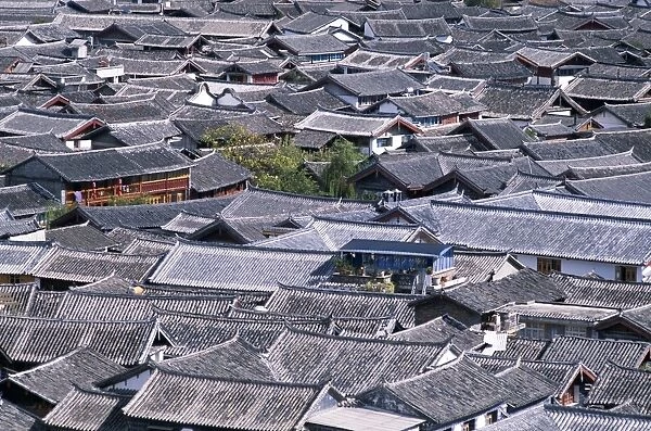 Old Town  /  Ancient Rooftops