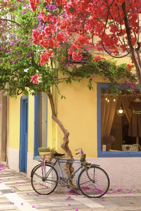 Framed Print : Old Town of Nafplio, Argolis, The Peloponnese, Greece, Southern Europe Framed Print : Old Town of Nafplio, Argolis, The Peloponnese, Greece, Southern Europe