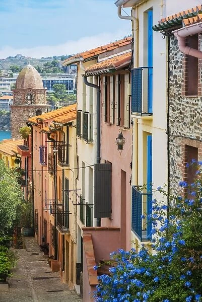 Old town street, Collioure, Languedoc-Roussillon, France