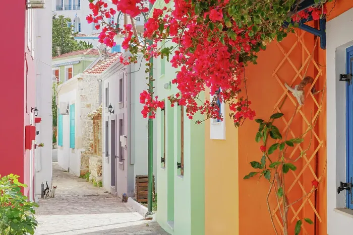 Framed Print : Old town street filled with Halki traditional houses and flora, Halki Island, Dodecanese Islands, Greece Framed Print : Old town street filled with Halki traditional houses and flora, Halki Island, Dodecanese Islands, Greece
