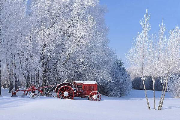Old tractor and horafrost covered trees Near Winnipeg, Manitoba, Canada