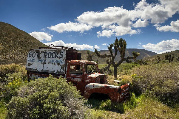 Old Truck & Joshua Trees, near Mojave, California, USA