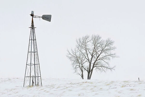 Old Windmill Willows Saskatchewan, Canada