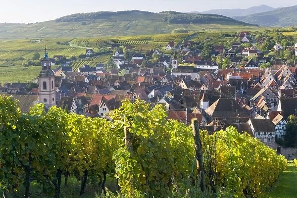 Old wine town of Riquewihr & vineyard, Alsace, France