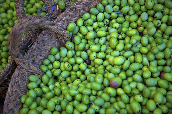 Olives, Fez, Morocco, North Africa