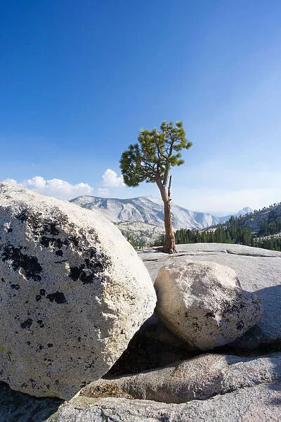 Olmsted Point located along the Tioga Road, Yosemite National Park, California, USA