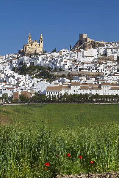 Olvera, Olvera, Cadiz Province, Andalusia, Spain