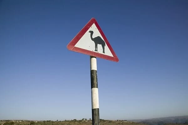 Oman, Dhofar Region, Salalah (Area), Camel Crossing Sign in the Dhofar Mountains