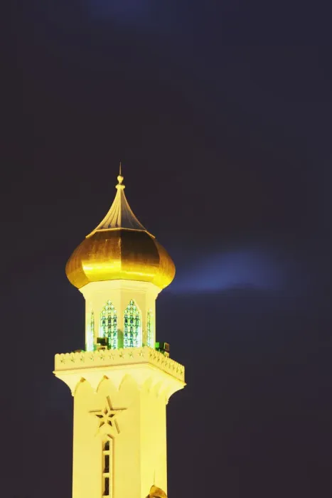 Framed Print : Omar Ali Saifuddien Mosque at dusk, Bandar Seri Begawan, Brunei Darussalam