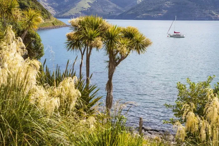 Framed Print : Onuku, Akaroa, Banks Peninsular, Canterbury, South Island, New Zealand Framed Print : Onuku, Akaroa, Banks Peninsular, Canterbury, South Island, New Zealand