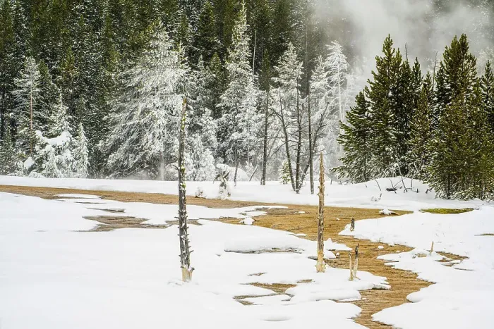 Framed Print : Open water of thermal area with frosted trees, Yellowstone National Park, Wyoming, USA Framed Print : Open water of thermal area with frosted trees, Yellowstone National Park, Wyoming, USA