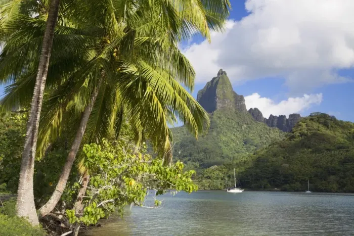 Framed Print : Opunohu Bay, Mo orea, Society Islands, French Polynesia