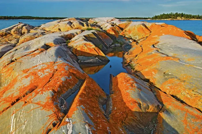 Framed Print : orange lichens surround a pool on pre-cambrian rock on Georgian Bay South of Philip Edward Island near Killarney, Ontario, Canada Framed Print : orange lichens surround a pool on pre-cambrian rock on Georgian Bay South of Philip Edward Island near Killarney, Ontario, Canada