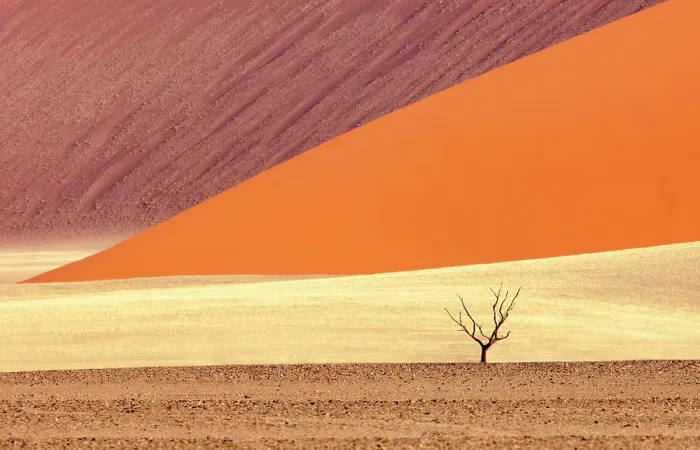 Framed Print : Orange sand dunes and lone tree, Sossusvlei, Namib-Naukluft National Park, Namib Desert, Namibia Framed Print : Orange sand dunes and lone tree, Sossusvlei, Namib-Naukluft National Park, Namib Desert, Namibia