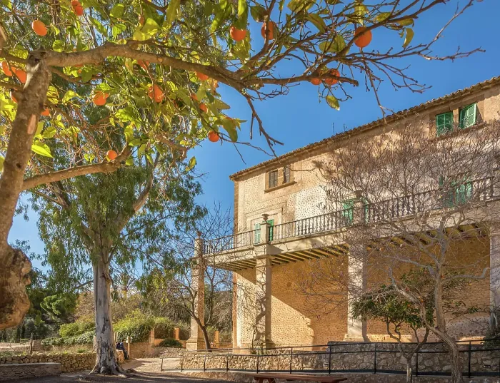Framed Print : Orange tree with manor house of Finca Publica Galatzo, Mallorca, Balearic Islands, Spain