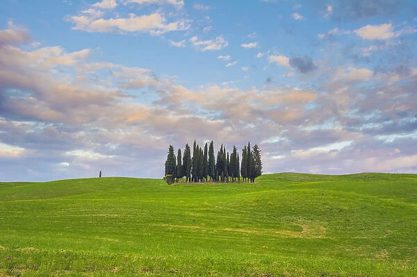 Orcia Valley, Tuscany, Italy. Iconic cypresses at sunset