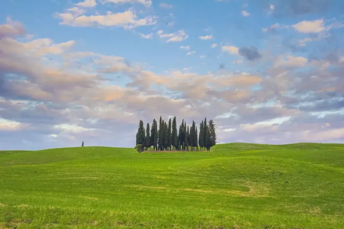 Framed Print : Orcia Valley, Tuscany, Italy. Iconic cypresses at sunset