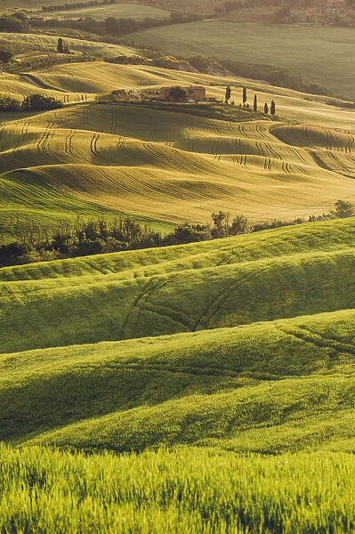 Orcia Valley, Tuscany, Italy. Tuscan hills at sunrise