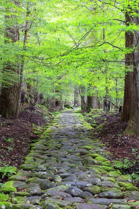 Framed Print : Original stone path in cedar forest (UNESCO World Heritage Site), Nikko, Tochigi, Japan Framed Print : Original stone path in cedar forest (UNESCO World Heritage Site), Nikko, Tochigi, Japan