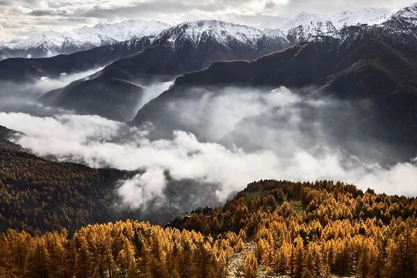 Orsiera Rocciavre Park, Chisone Valley, Piedmont, Italy. Autumn Orsiera Rocciavre Park