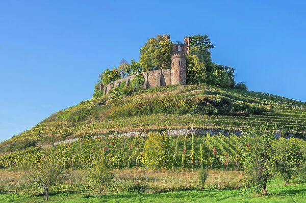 Ortenberg castle near Offenburg, Black Forest, Baden-Wurttemberg, Germany