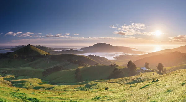 Otago Peninsula near Dunedin, Hoopers inlet, South Island, New Zealand