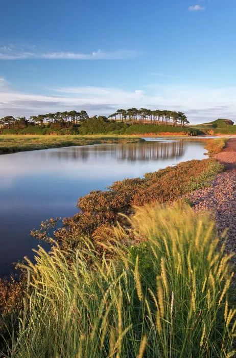 Framed Print : Otter Estuary at Budleigh Salterton, Devon, England. Summer (July) Framed Print : Otter Estuary at Budleigh Salterton, Devon, England. Summer (July)