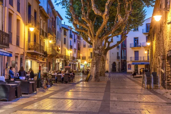 Framed Print : Outdoor cafe, Collioure, Pyrenees-Orientales, France Framed Print : Outdoor cafe, Collioure, Pyrenees-Orientales, France