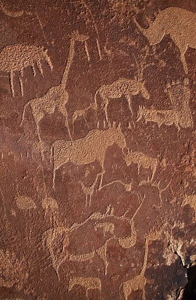 Overview of Bushman petroglyphs near caves formations