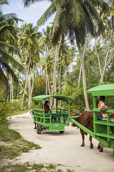 Ox drawn cart taxi, L Union Estate Plantation, La Digue, Seychelles